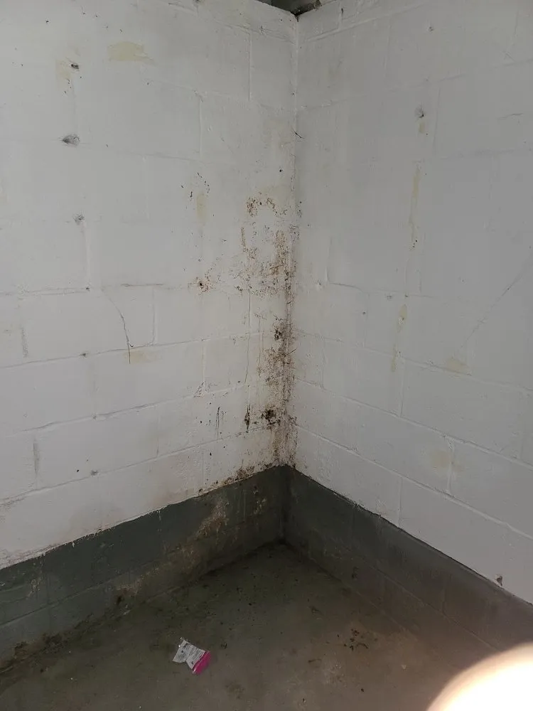 Quality emergency plumbing service in Detroit, MI - Detroit Rescue My Home