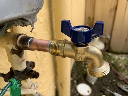 Devil Dog Plumbing Logo