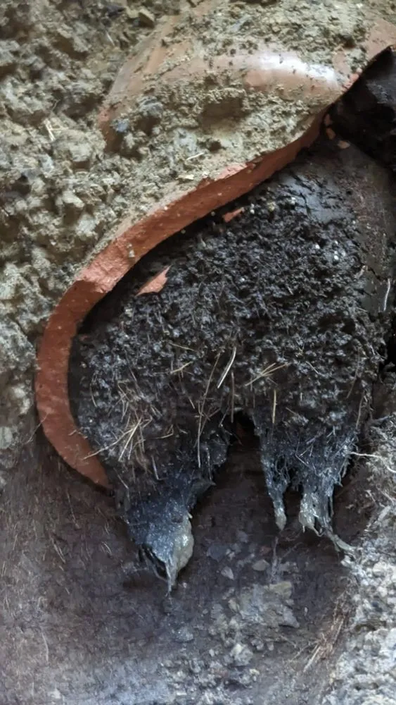 Slide of DFS Plumbing, Sewer & Drainage