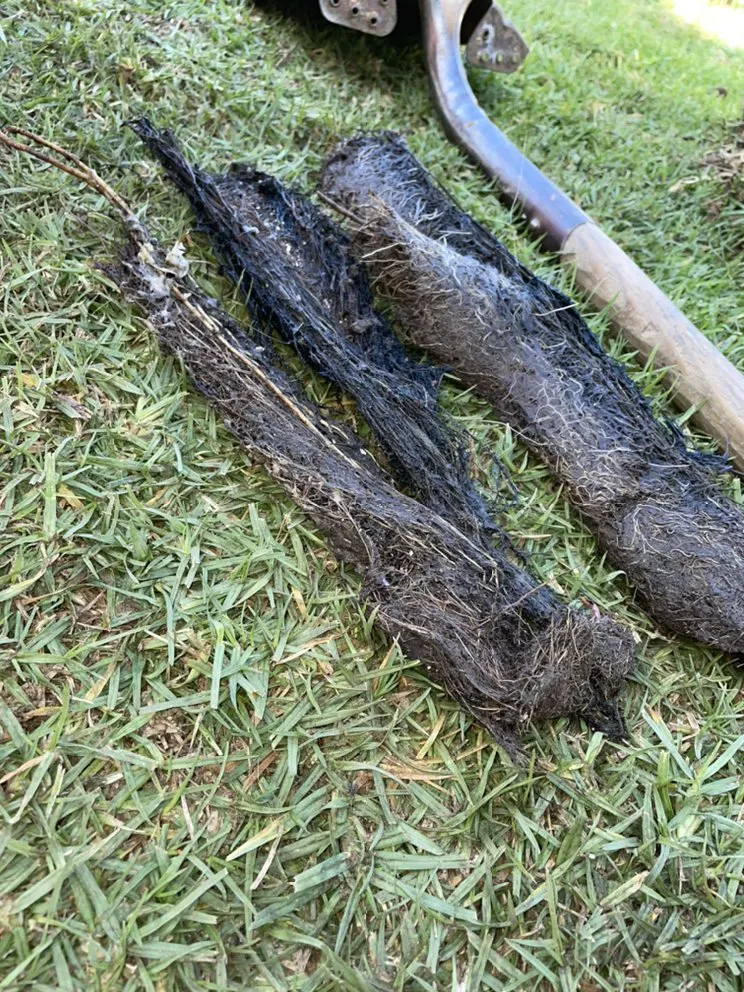 Slide of DG Plumbing