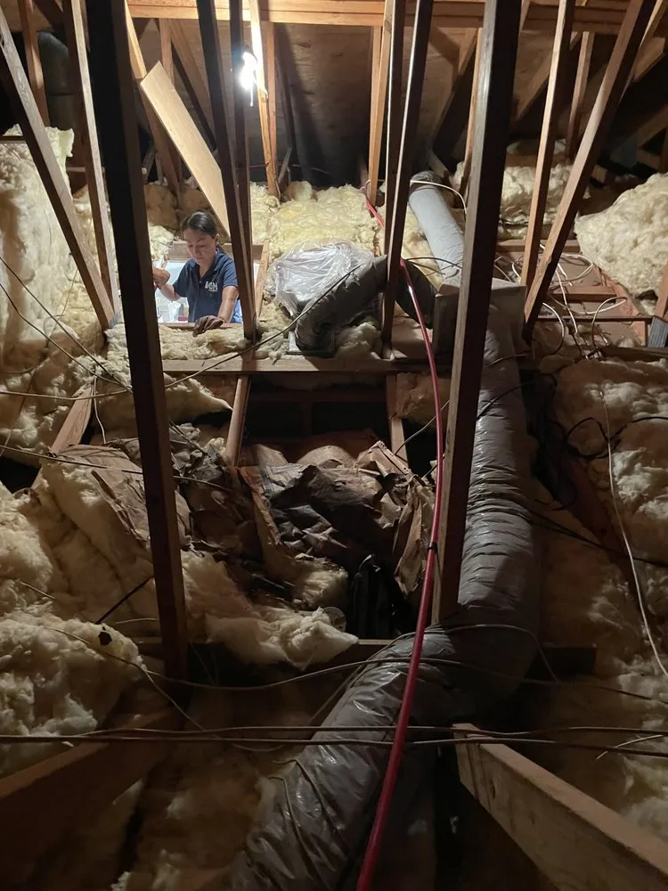 Slide of DGN Plumbing