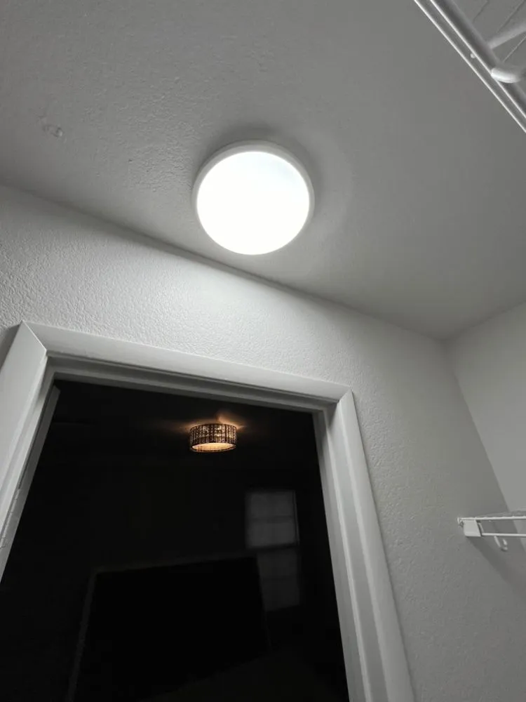 Trusted leak detection experts serving Henderson, NV - DGriffins Handyman Services