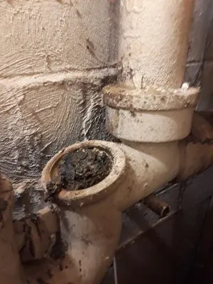 Dial A Sewer Mechanic