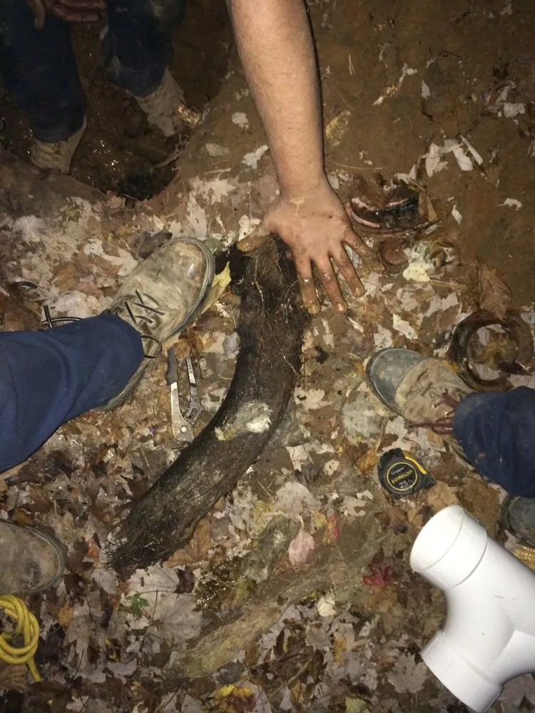 Slide of Dial One L. V. Lewis Plumbing