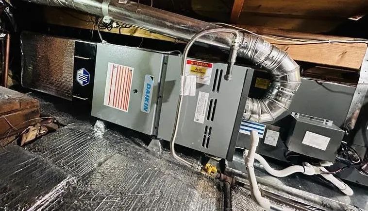 Slide of Dial One Sonshine