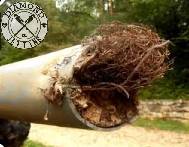 Slide of Diamond Jetting