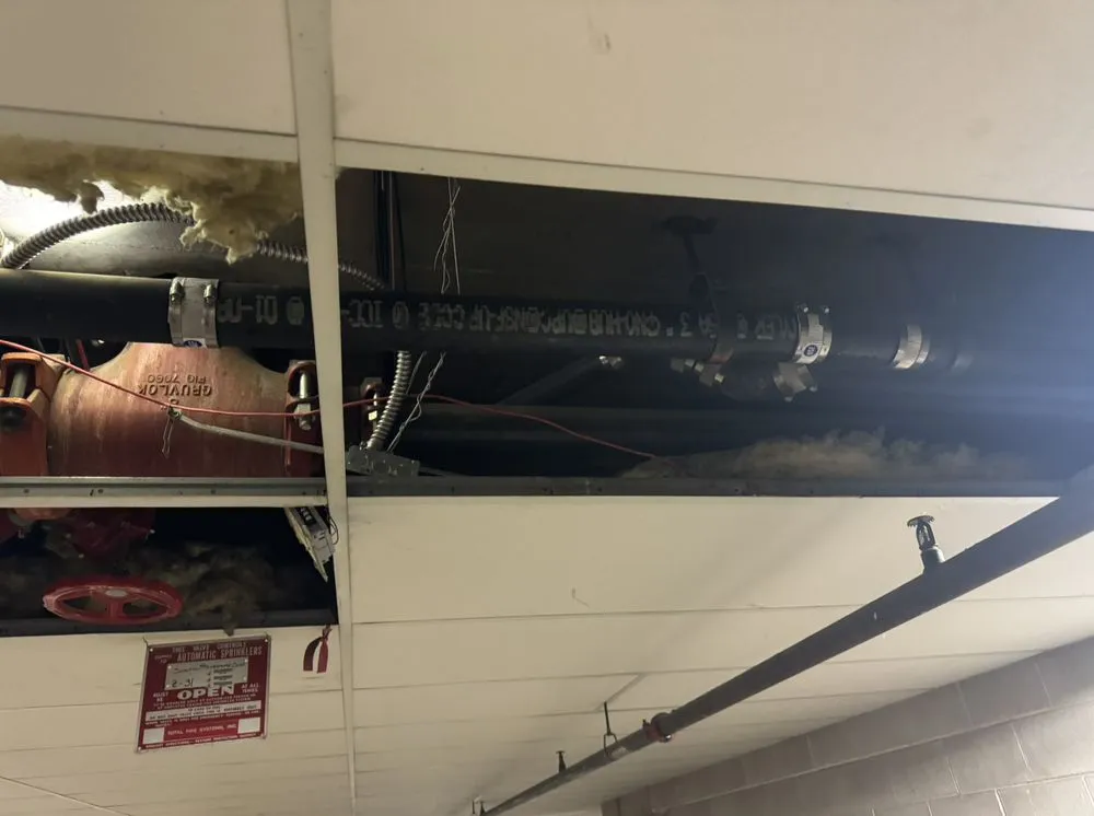 Top-rated emergency plumbing in Denver, CO by Diamond Plumbing & Design