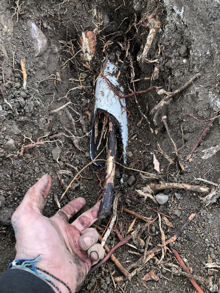 Slide of Diamond Plumbing & Pressure Washing