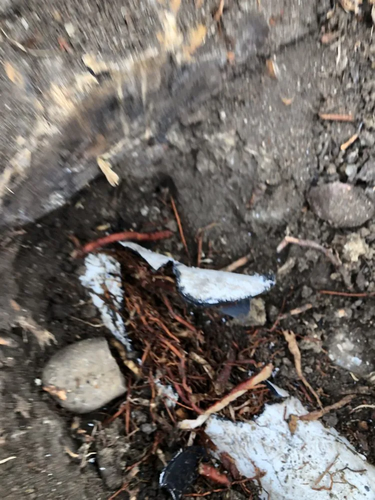 Slide of Diamond Plumbing & Pressure Washing