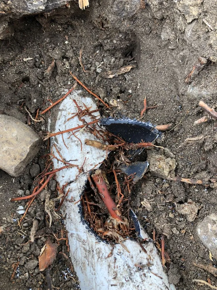 Slide of Diamond Plumbing & Pressure Washing