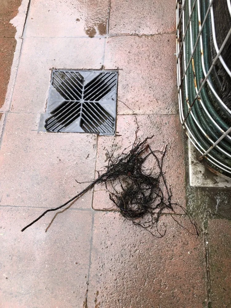 Affordable drain cleaning service in El Cajon, CA - Diamond Plumbing