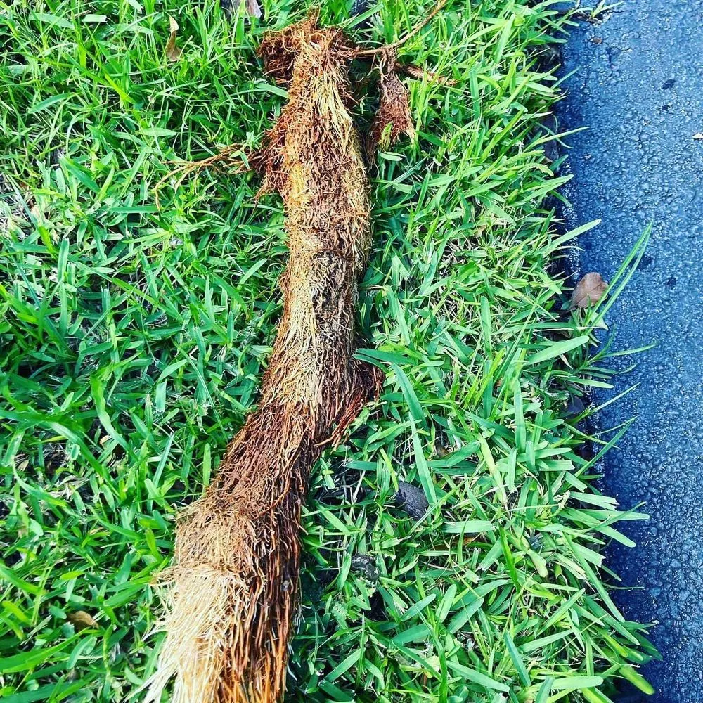 Slide of Diamonds Drainage