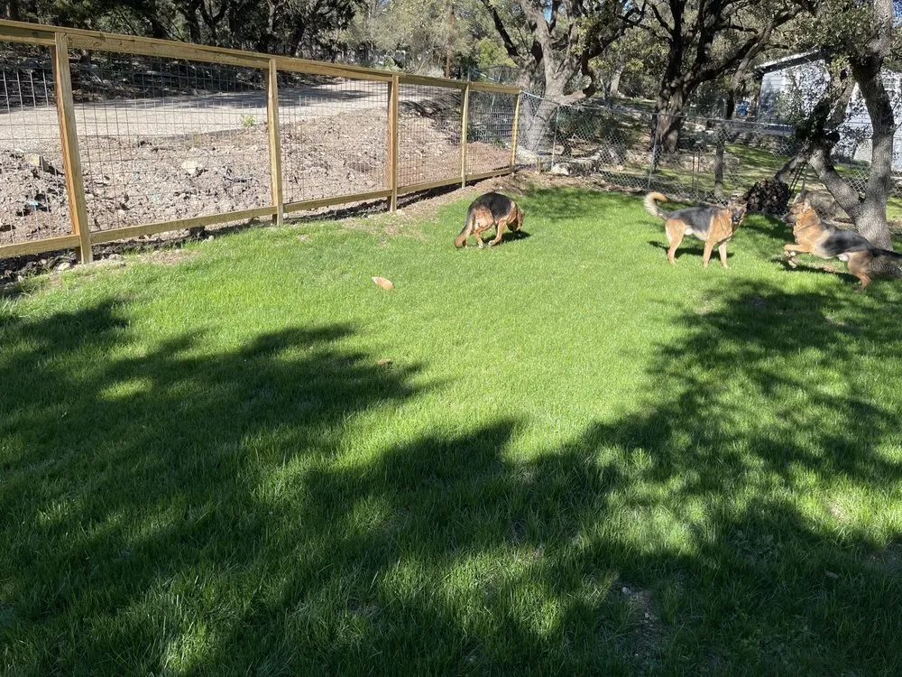 Slide of Dickinson Sprinkler & Lawn Seeding