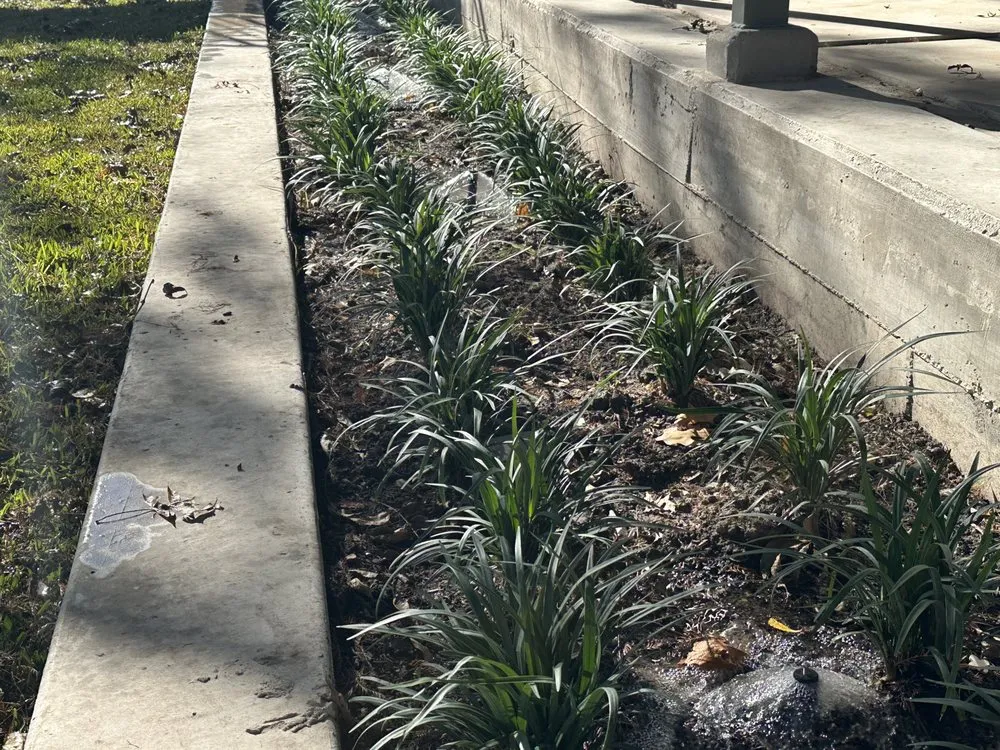 Slide of Dickinson Sprinkler & Lawn Seeding