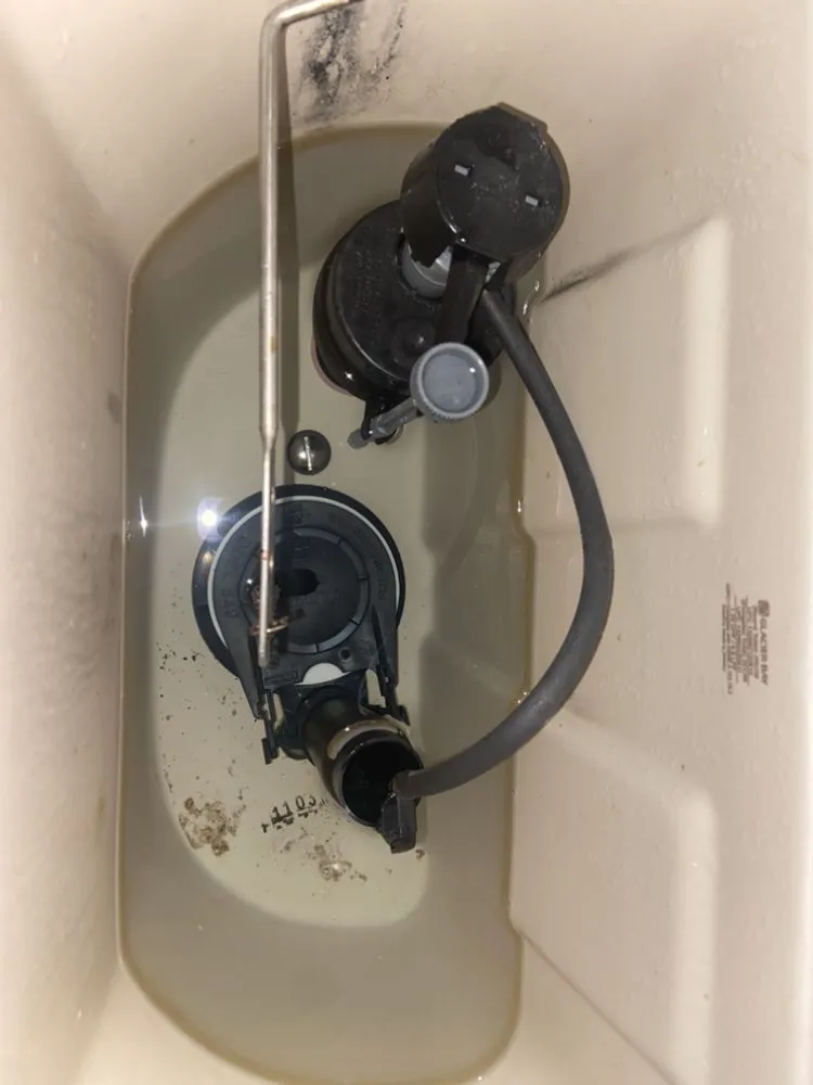 Slide of Diego's Plumbing