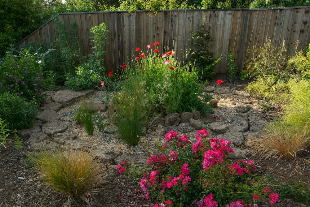 Slide of DIG Cooperative