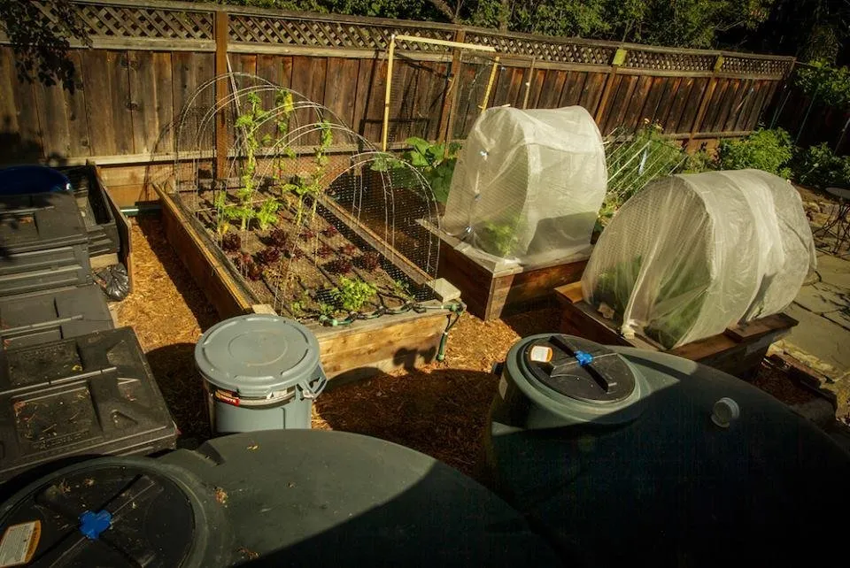 Slide of DIG Cooperative