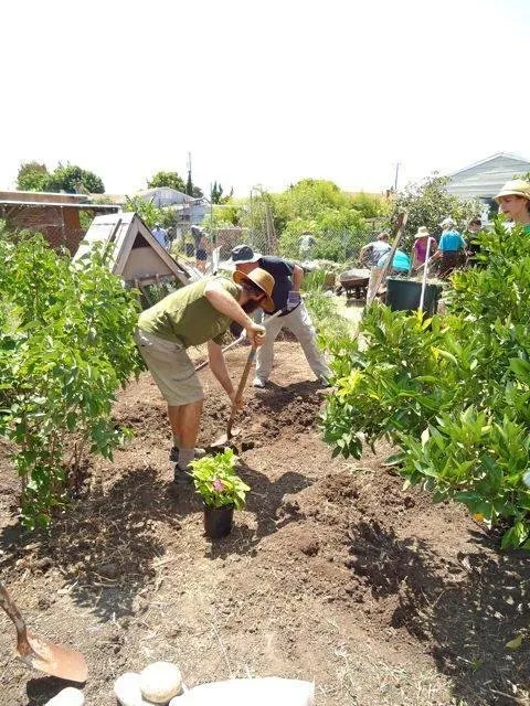 Slide of DIG Cooperative