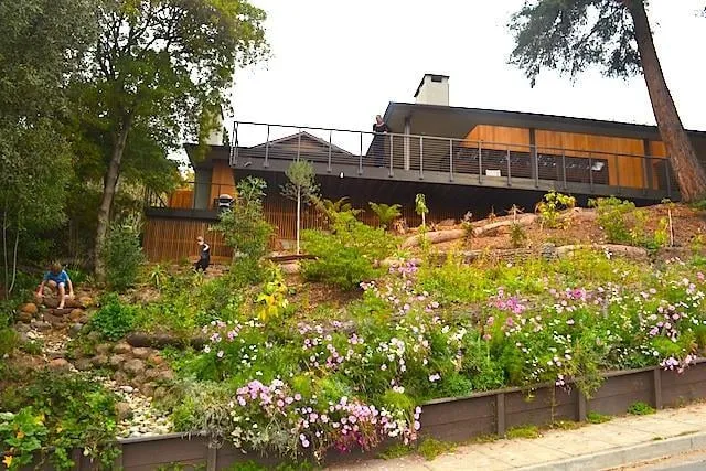 Slide of DIG Cooperative