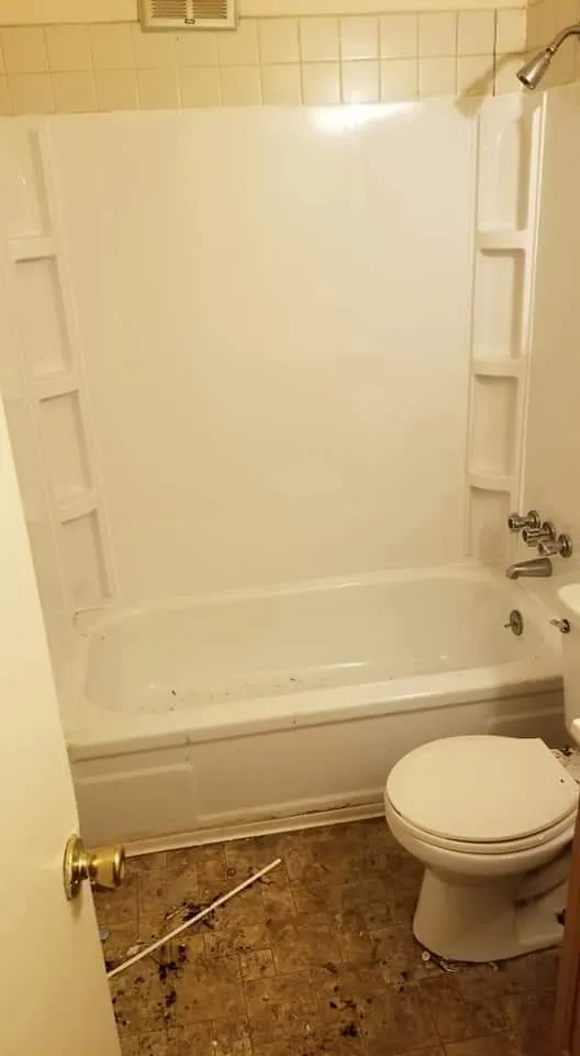 Slide of Dig Renovations