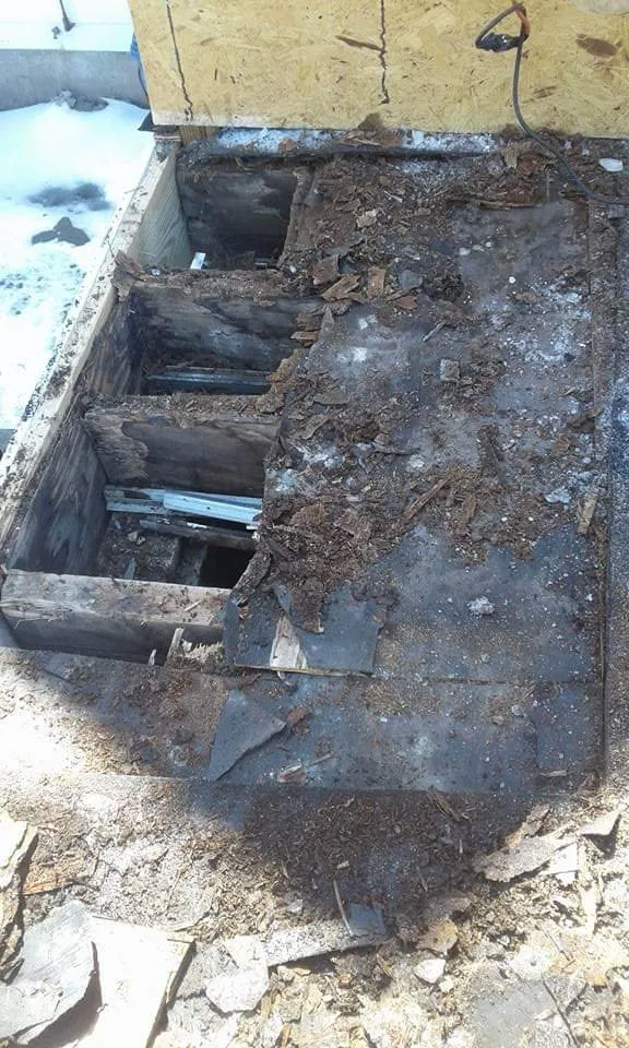 Slide of Dig Renovations