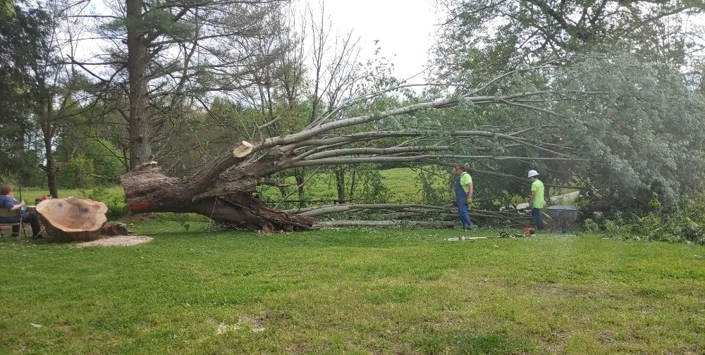 Slide of DIJS Contracting