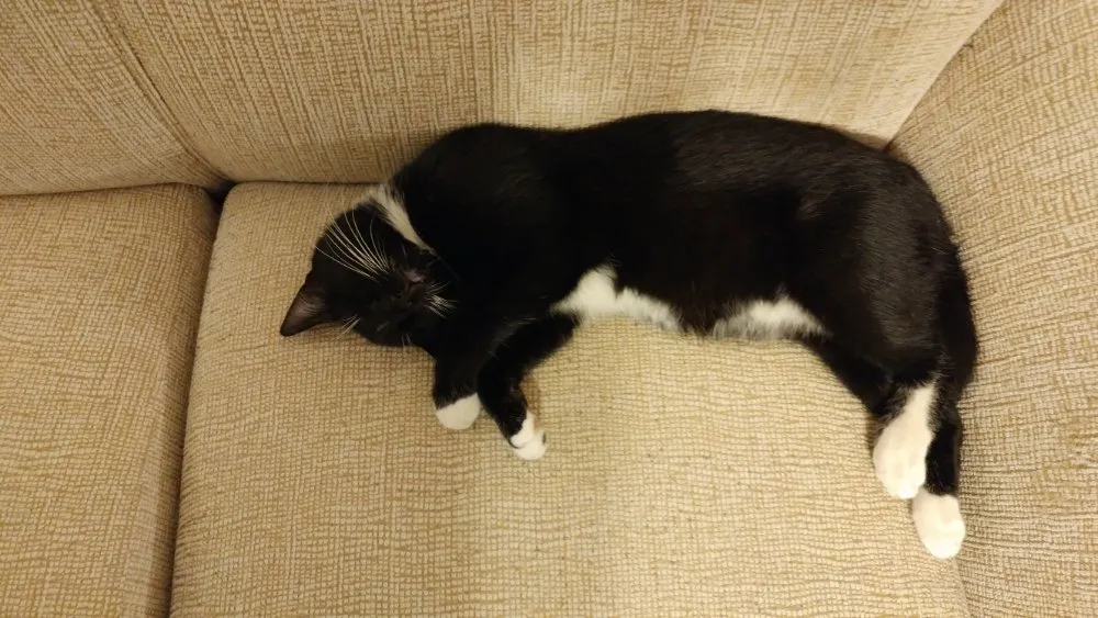 Slide of DIJS Contracting