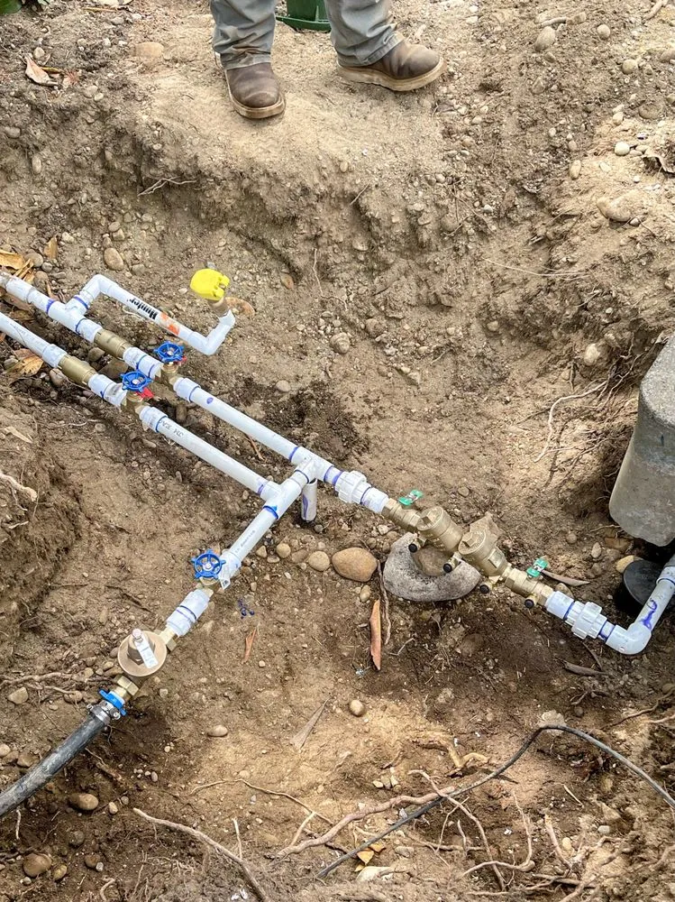 Slide of Dills Testing Services