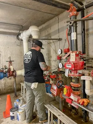 Dills Testing Services Logo