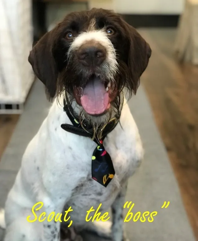 Top-rated emergency plumbing experts serving West Palm Beach, FL - DiMartino Plumbing