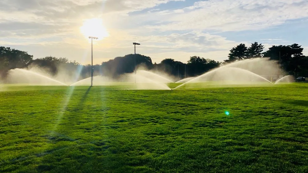 Slide of Dimension 2 Associates