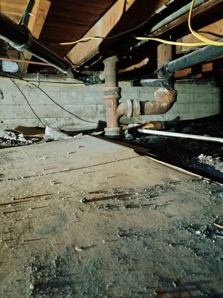 Trusted drain cleaning for homes in San Leandro, CA by Dimond Plumbing & Heating