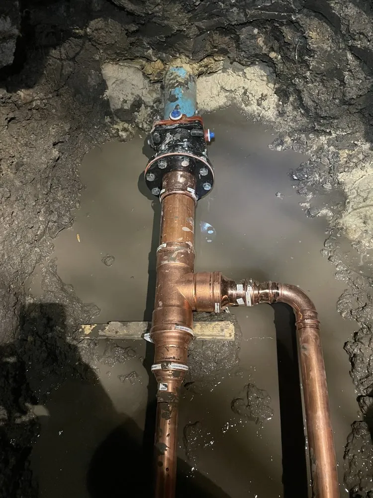 Slide of Dinomite Services