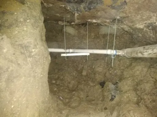 Slide of Dinomite Services