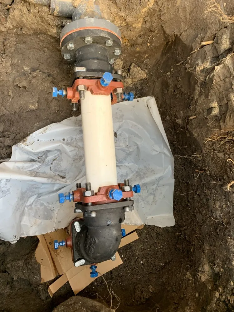 Slide of Dinomite Services