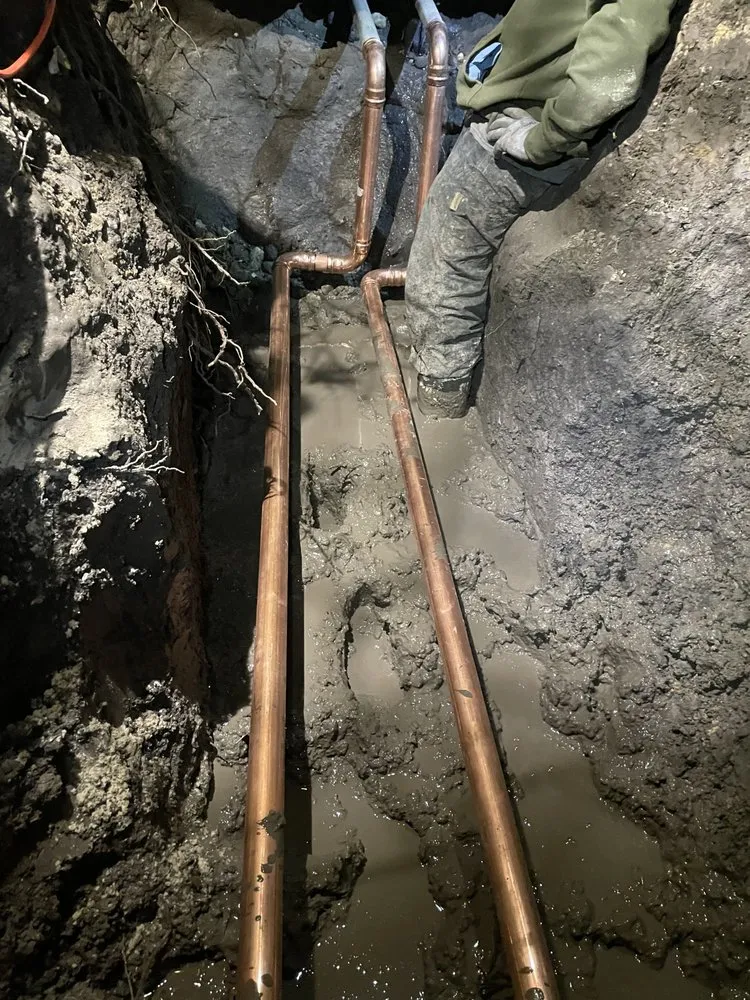 Slide of Dinomite Services