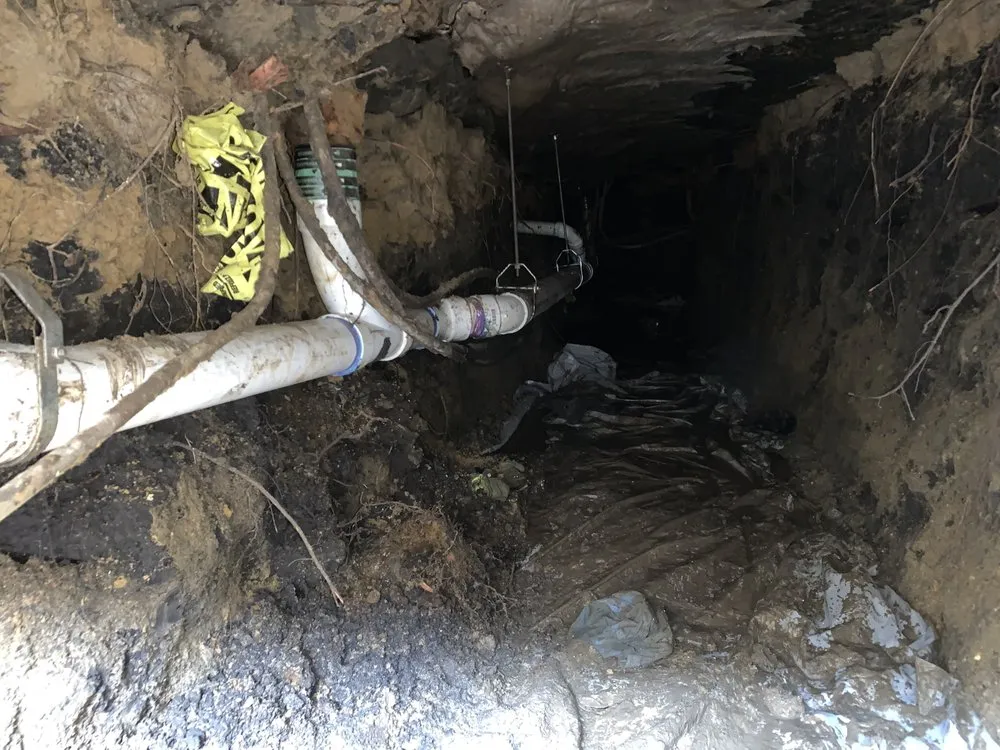 Slide of Dinomite Services