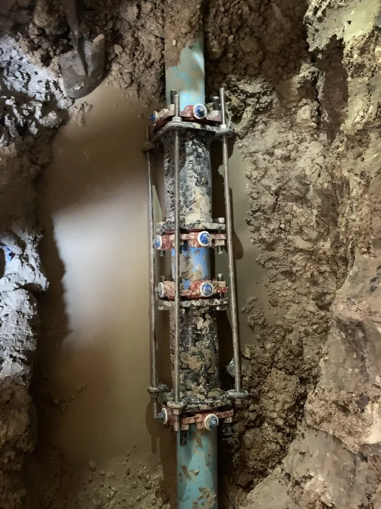 Slide of Dinomite Services