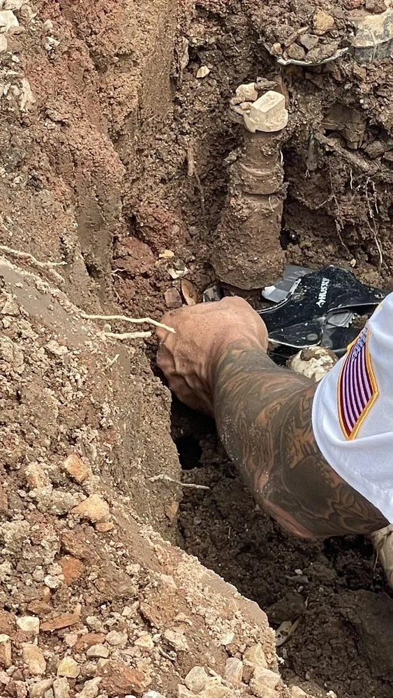 Slide of Dinosaur Plumbing