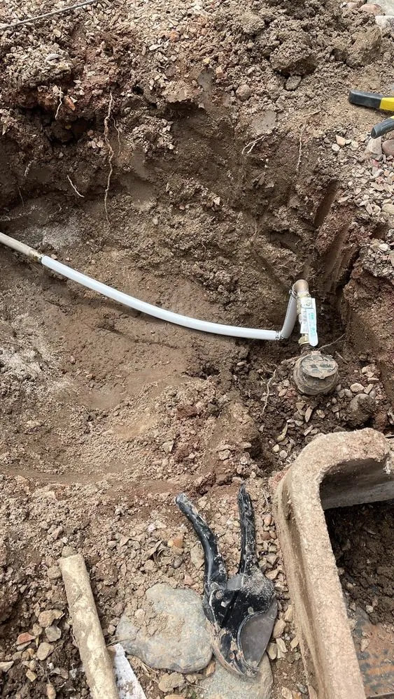 Slide of Dinosaur Plumbing