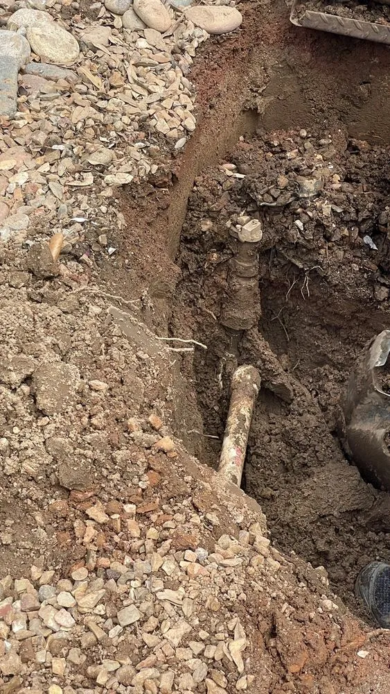 Slide of Dinosaur Plumbing