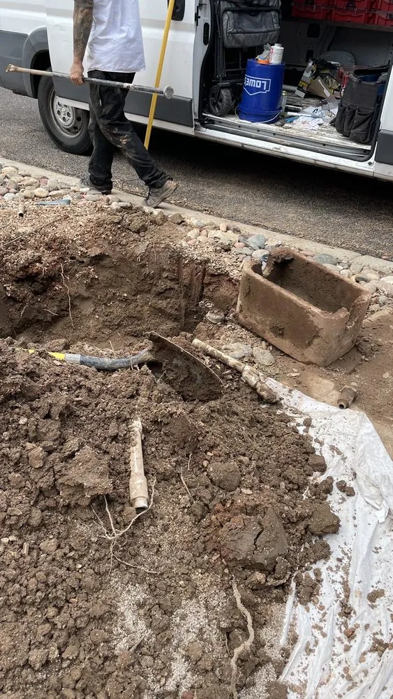 Slide of Dinosaur Plumbing