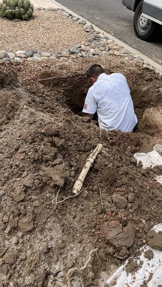 Slide of Dinosaur Plumbing