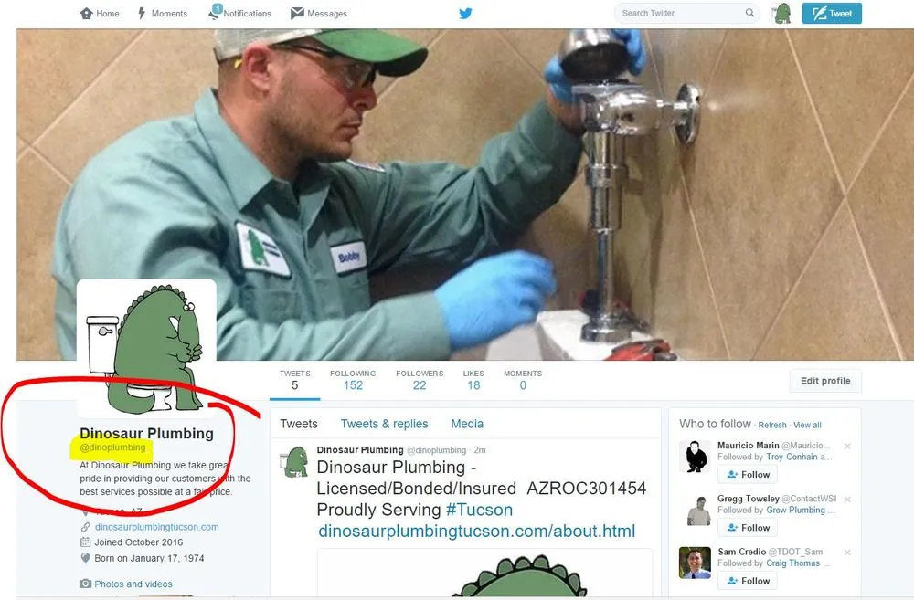 Slide of Dinosaur Plumbing