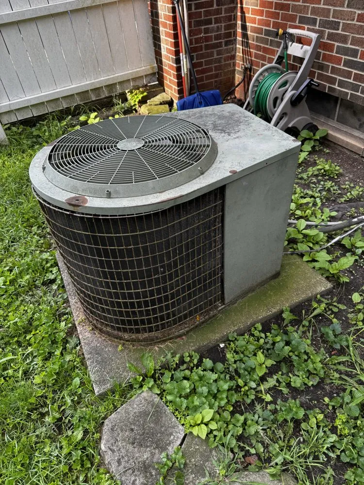 Slide of Dion's Complete