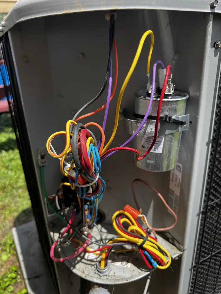 Slide of Dion's Complete