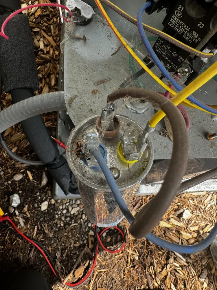 Slide of Dion's Complete