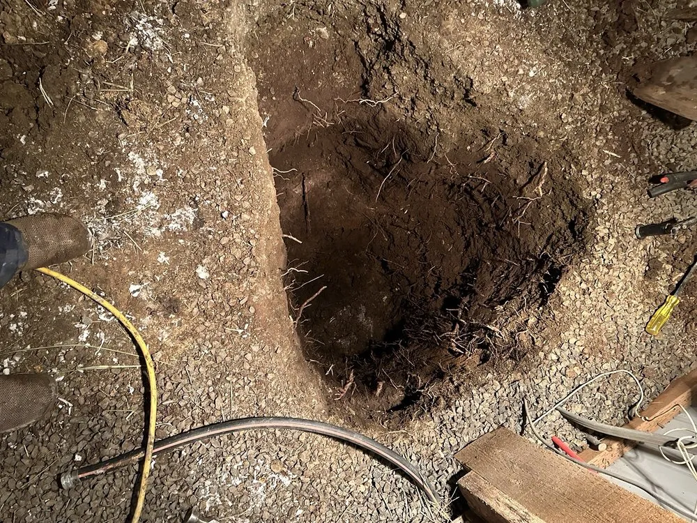 Slide of Dis-Way Rooter