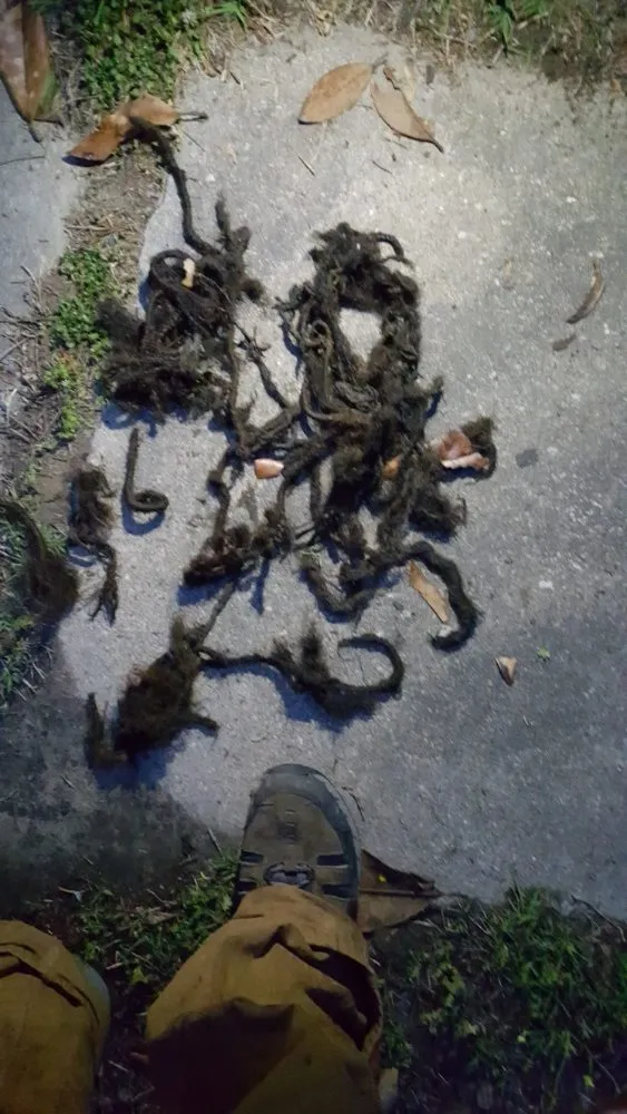 Slide of Discount Drain Cleaning