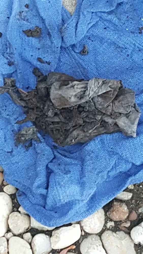 Slide of Discount Drain Cleaning